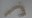 imag0414.jpg
