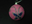 clp06845.gif