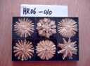 hr06-010.jpg